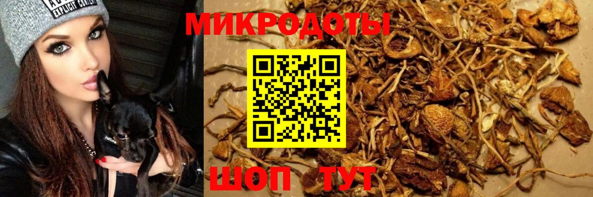 Мариинск  Псилоцибиновые грибы Psilocybine cubensis  Галлюциногенные грибы прущие грибы  Вход с VPN 